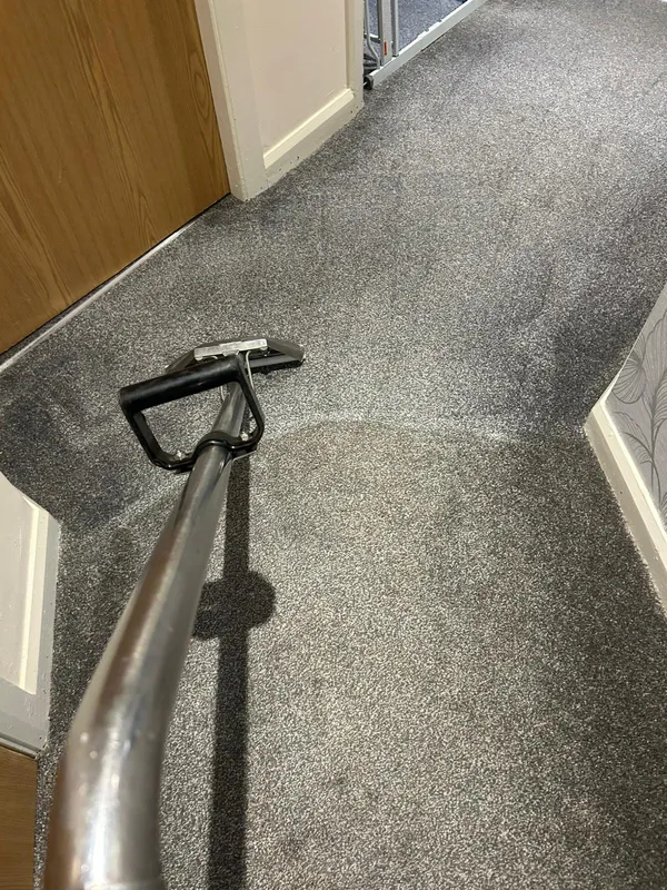 Carpet steam cleaning Manchester