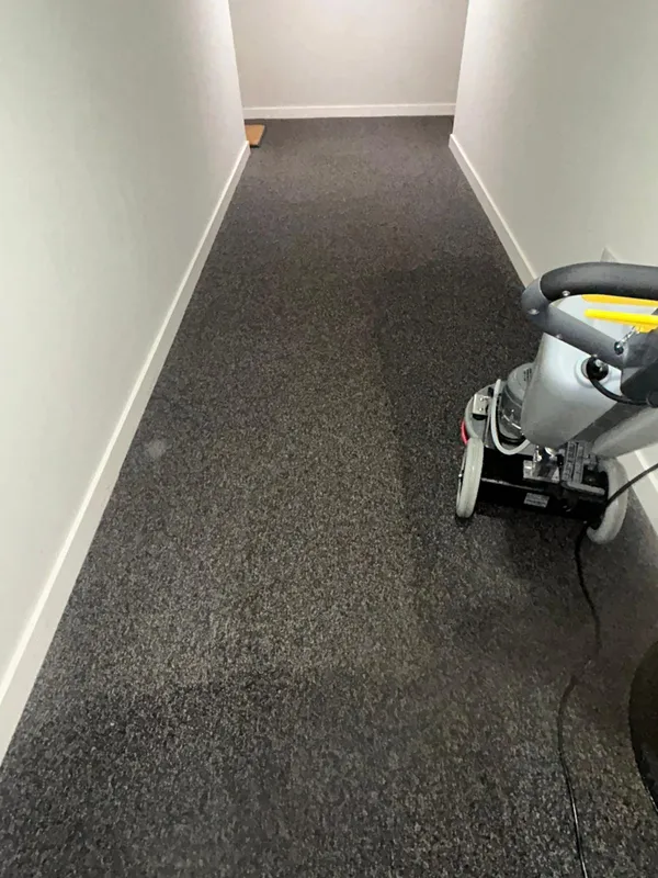 Commercial carpet cleaning Manchester