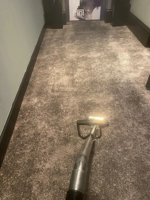 Carpet cleaning equipment in use