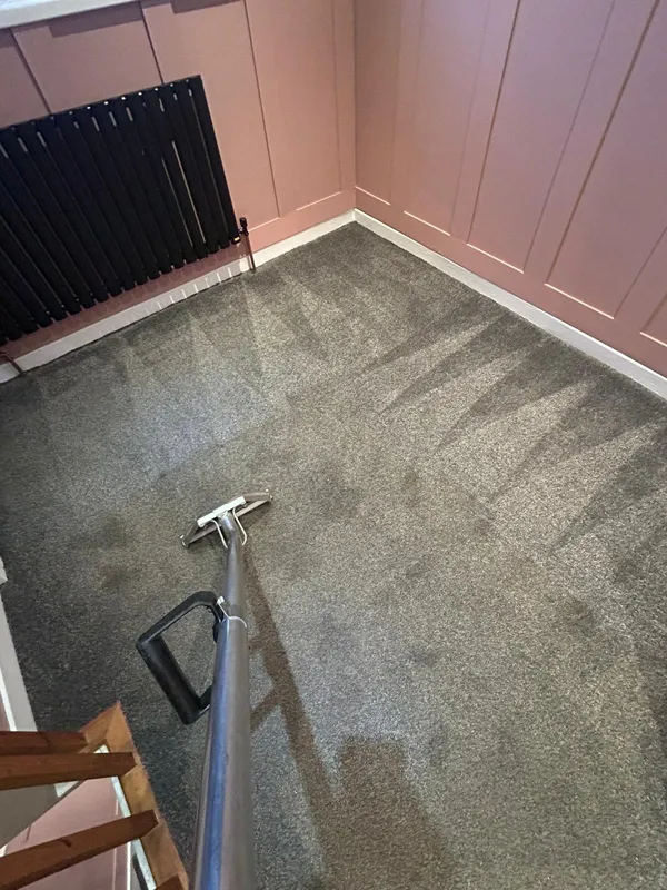 Clean carpet fibres after professional cleaning