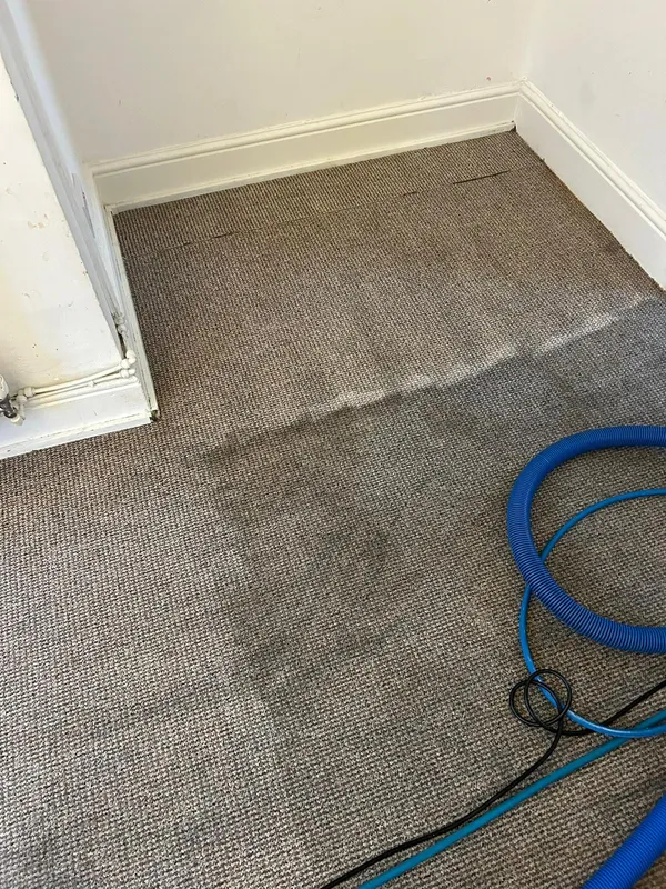 Deep carpet cleaning Manchester