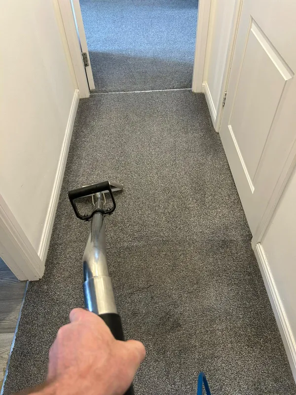 Hallway carpet cleaning with professional wand