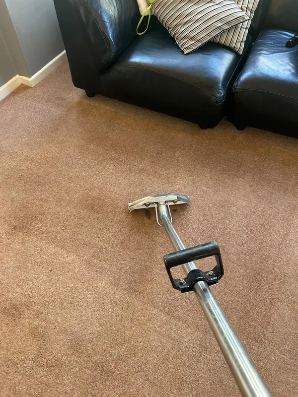 Carpet and upholstery cleaning