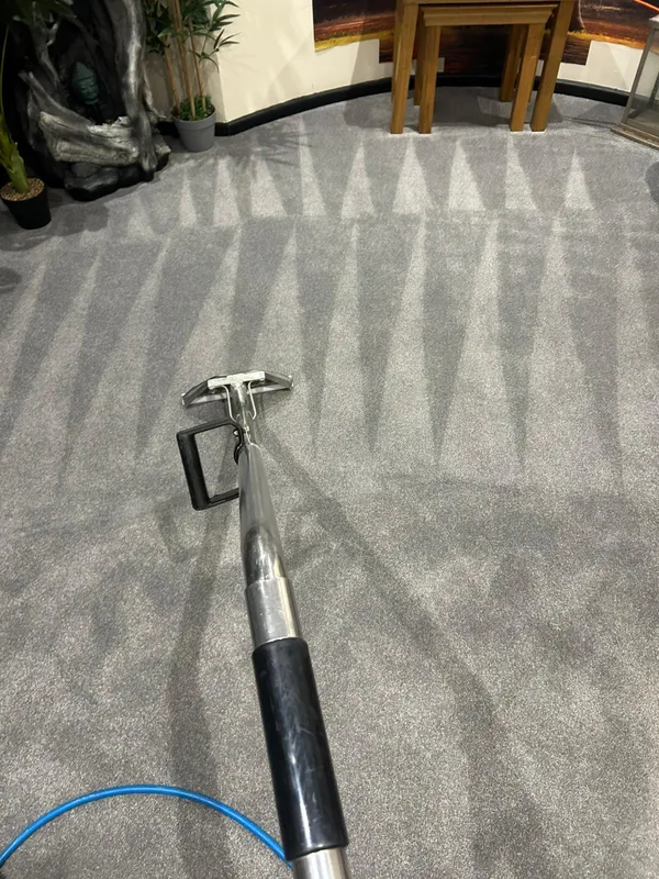 Professional carpet cleaning in Manchester