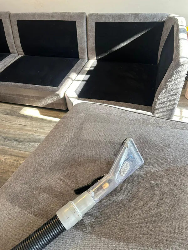 Modular sofa cushion deep clean