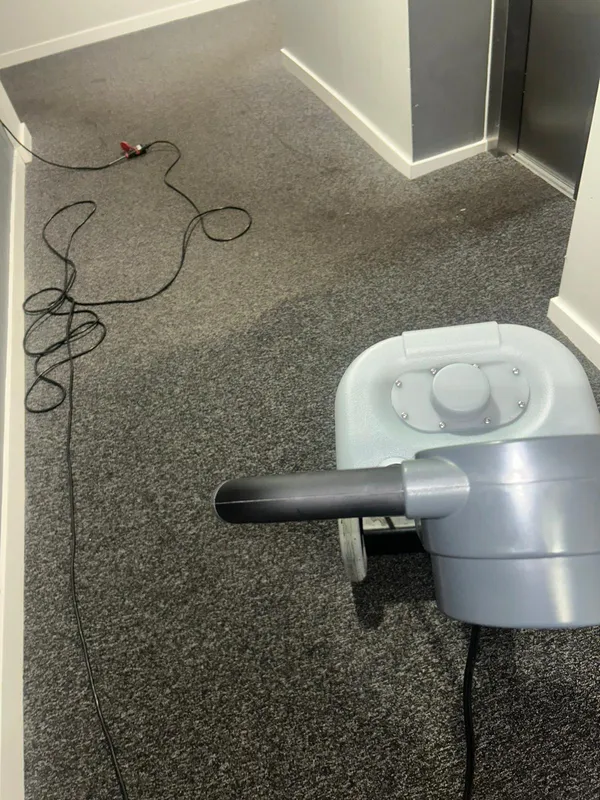 Office carpet cleaning in Manchester