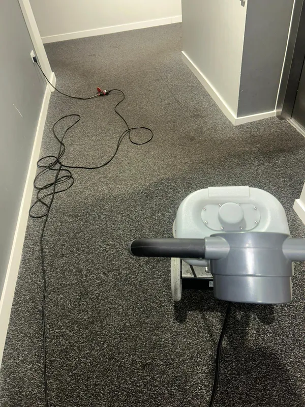 Office carpet cleaning Manchester