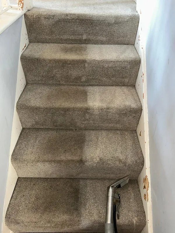 Stair carpet before and after professional cleaning